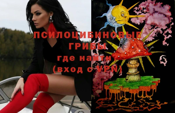 индика Фурманов