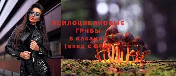 мдма Бородино